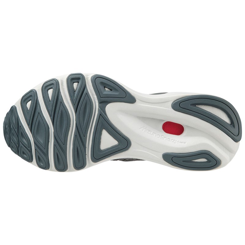 Zapatillas Para Correr Mizuno WAVE Skyrise 4 Mujer Negros / Blancos / Grises - Chile M521OHIVNA